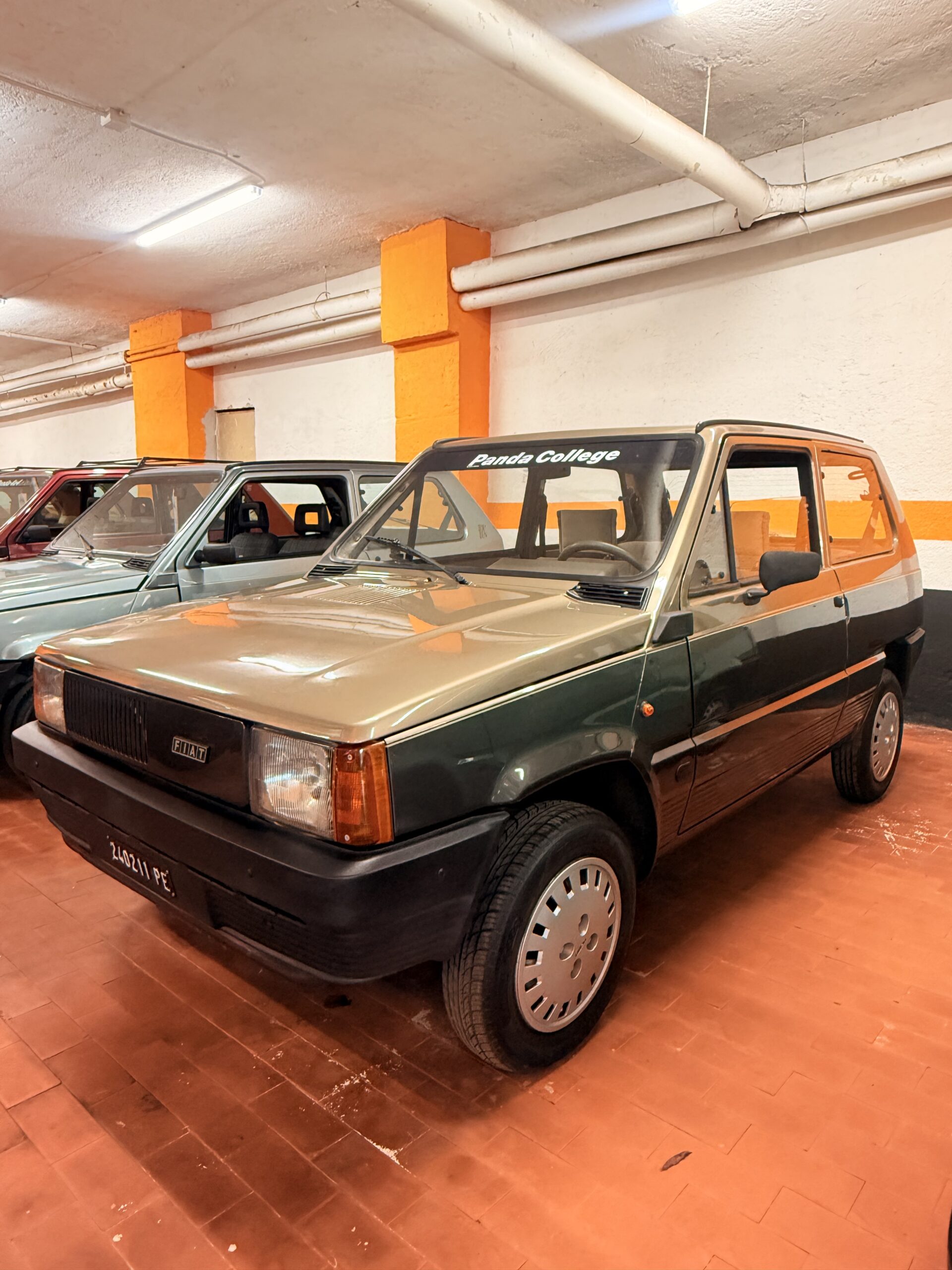 STUPENDA FIAT PANDA COLLEGE CON SOLI 42.955 km