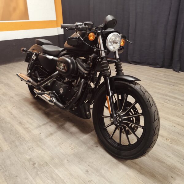 MERAVIGLIOSA HARLEY DAVIDSON SPORTSTER XL 883 IRON SPECIAL EDITION